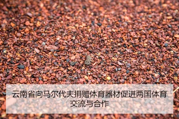 云南省向马尔代夫捐赠体育器材促进两国体育交流与合作
